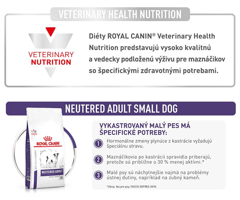 vhn-neutered-adult-small-dog-11
